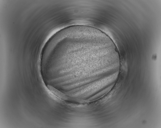 X0000097631147200803142019