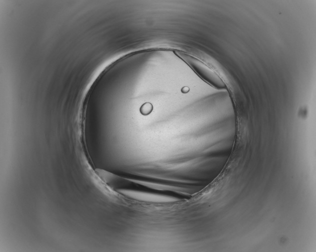 X0000097631148200803142019