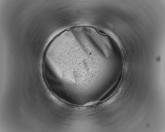 X0000097631149200803142019