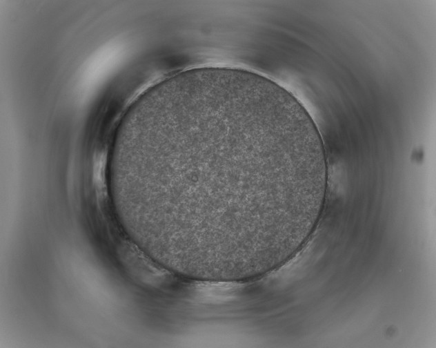 X0000097631150200803142019