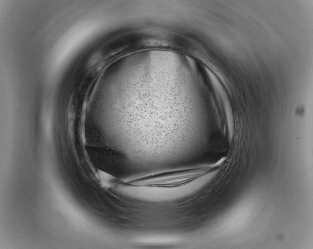 X0000097631151200803142019