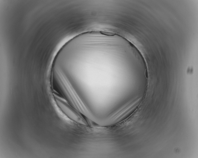 X0000097631152200803142019