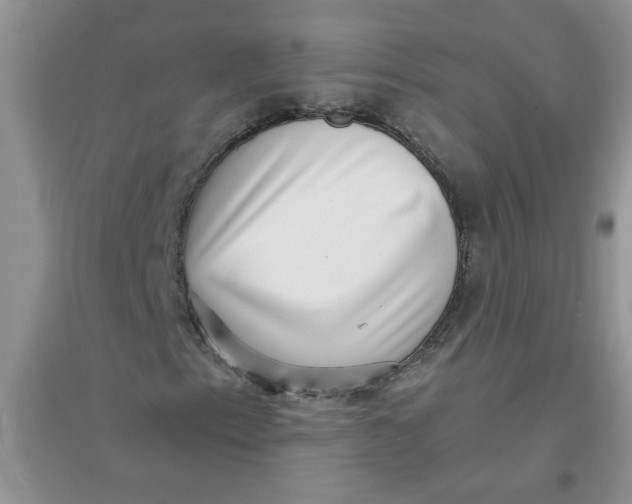 X0000097631153200803142018