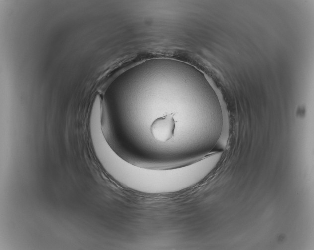 X0000097631154200803142018