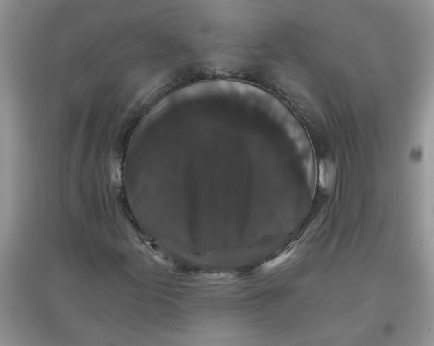 X0000097631155200803142018