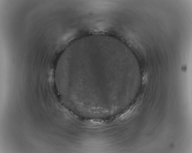 X0000097631156200803142018