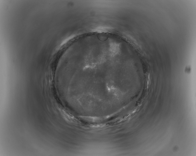 X0000097631158200803142018