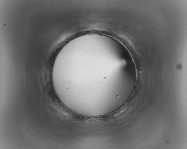 X0000097631159200803142018