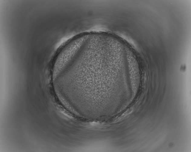 X0000097631160200803142018