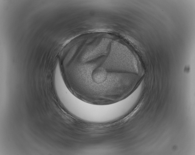 X0000097631161200803142018