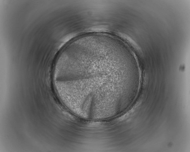 X0000097631162200803142018