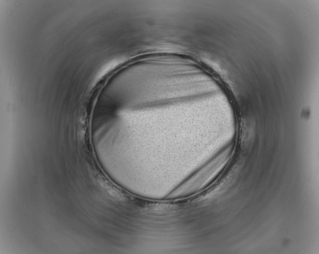 X0000097631163200803142018