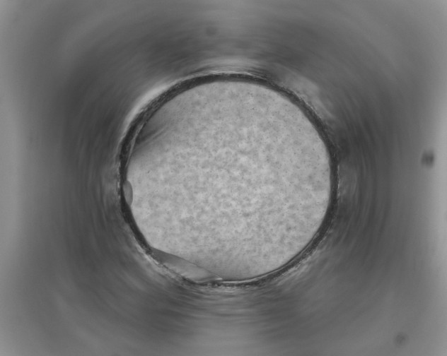 X0000097631164200803142018