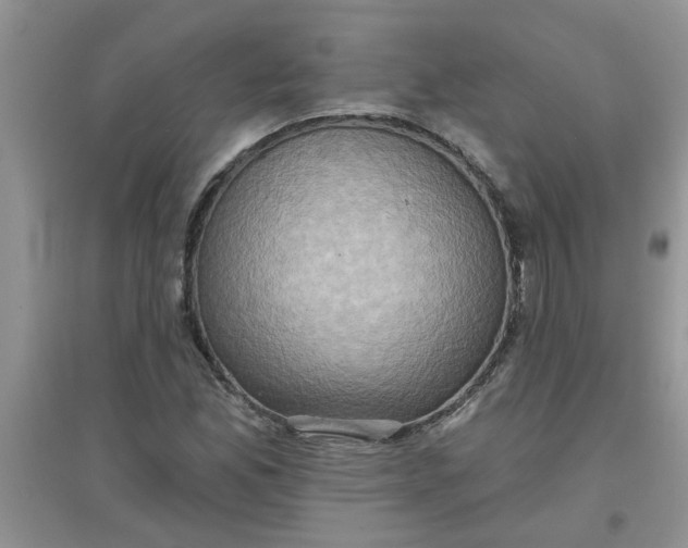 X0000097631165200803142018