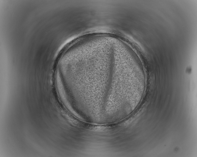 X0000097631166200803142018