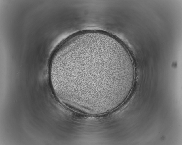 X0000097631167200803142018