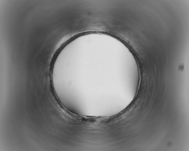 X0000097631168200803142018