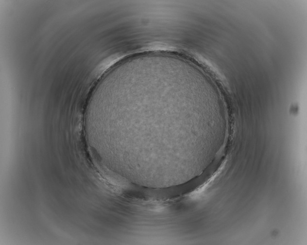 X0000097631169200803142018