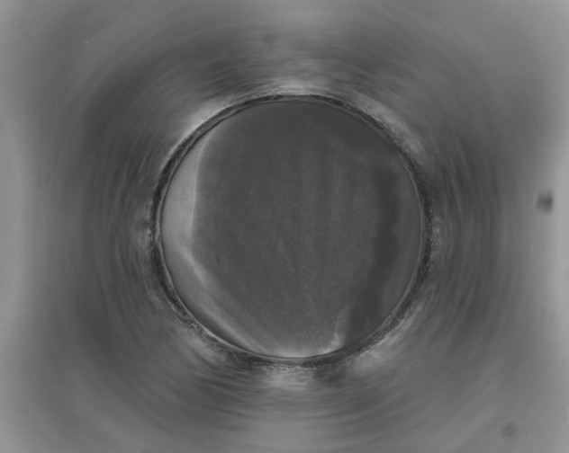 X0000097631170200803142018