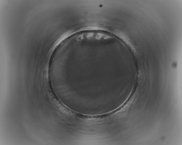 X0000097631173200803142018