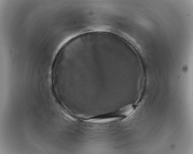 X0000097631174200803142018