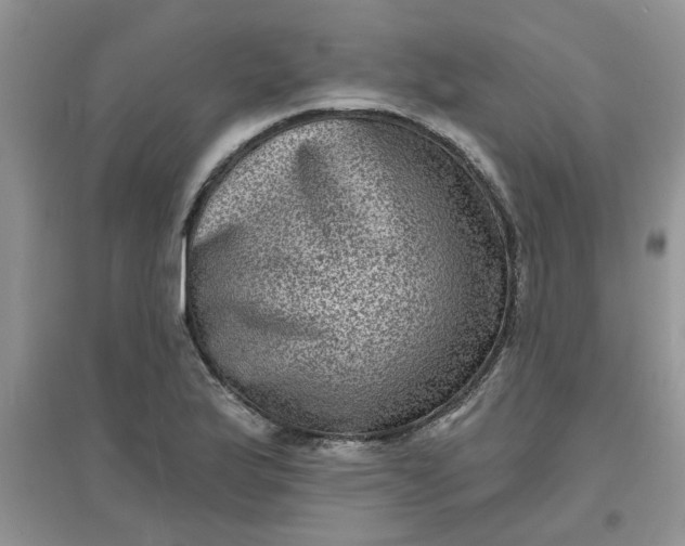 X0000097631175200803142018