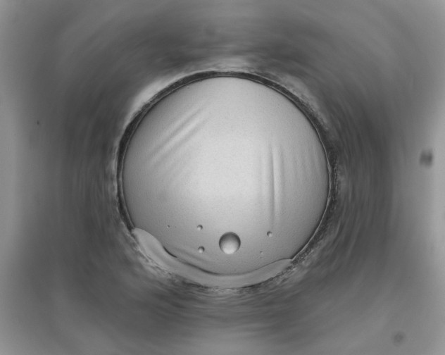 X0000097631176200803142018