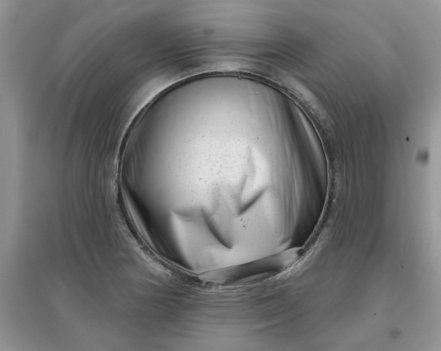 X0000097631178200803142018