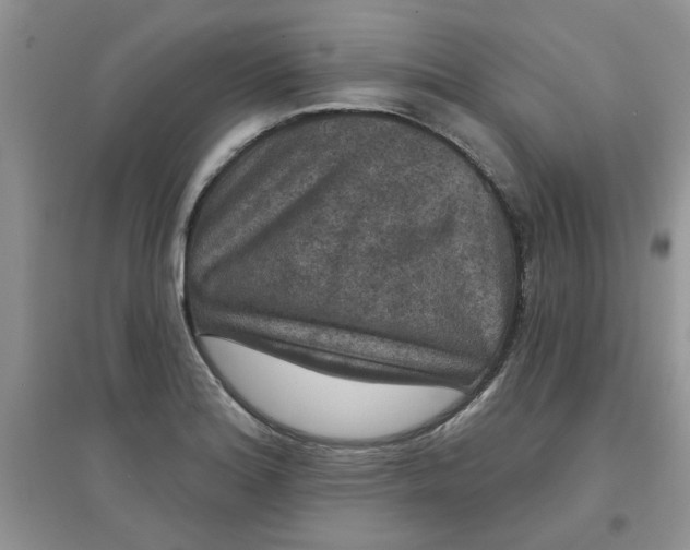 X0000097631180200803142018