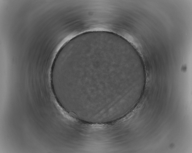 X0000097631181200803142018