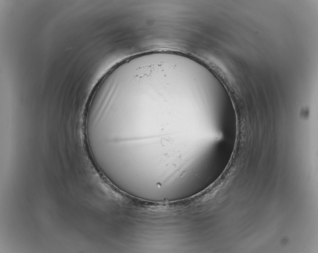 X0000097631182200803142018