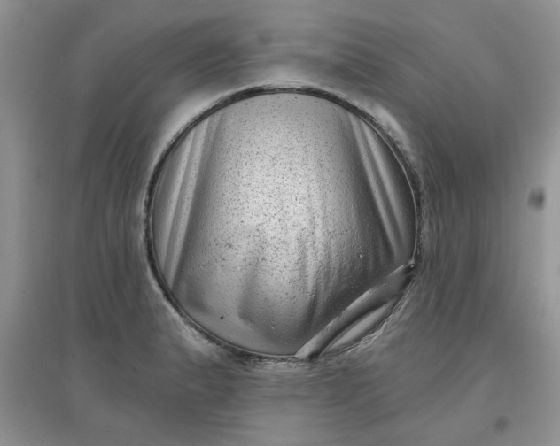 X0000097631183200803142018