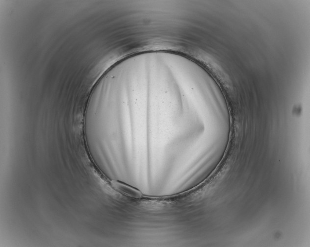 X0000097631185200803142018