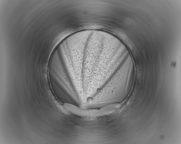 X0000097631186200803142018