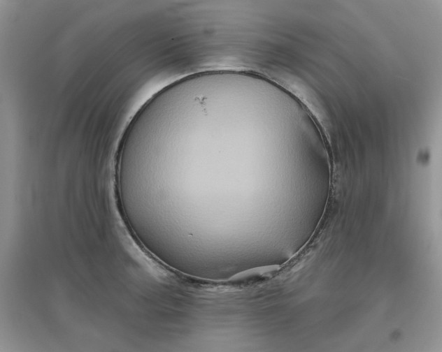 X0000097631187200803142018