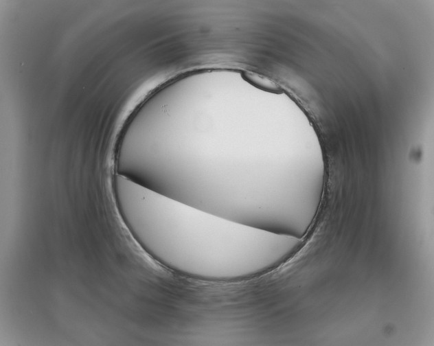 X0000097631188200803142018