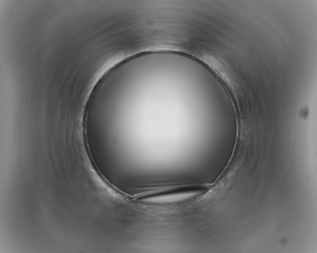 X0000097631189200803142018