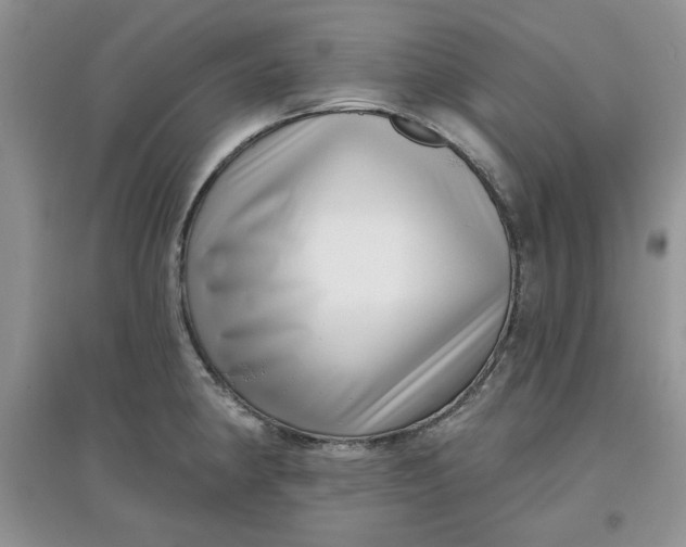 X0000097631190200803142018