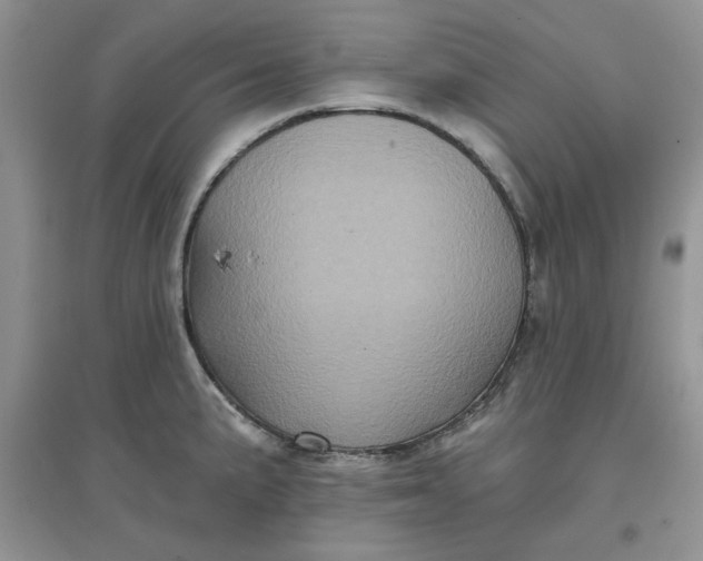 X0000097631191200803142018