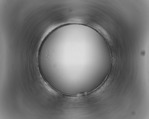 X0000097631192200803142018