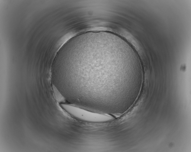 X0000097631193200803142018