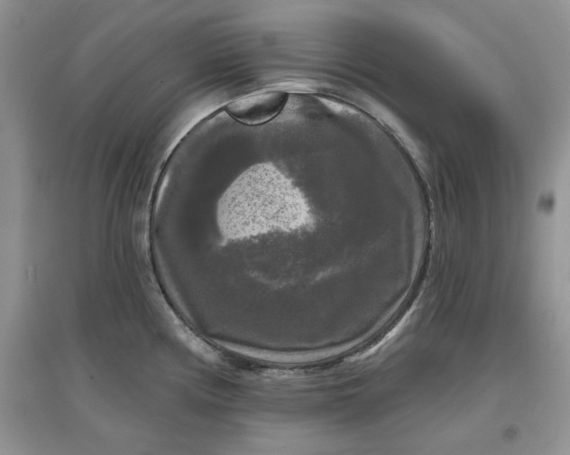 X0000097631194200803142018