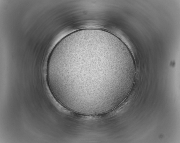 X0000097631195200803142018