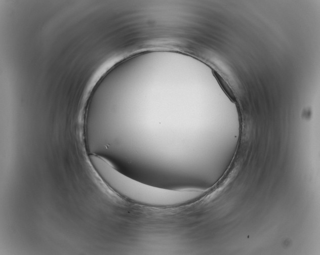 X0000097631196200803142018