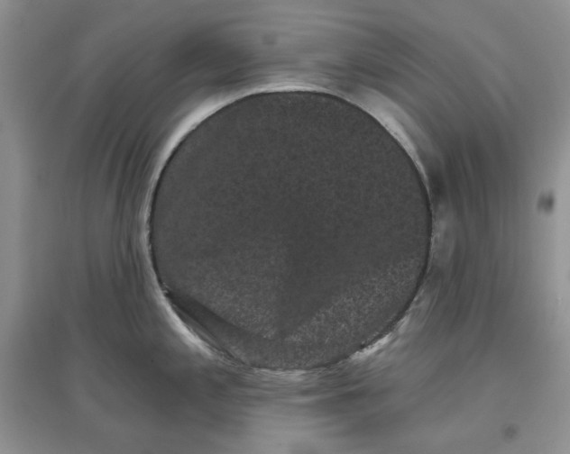 X0000097631197200803142018