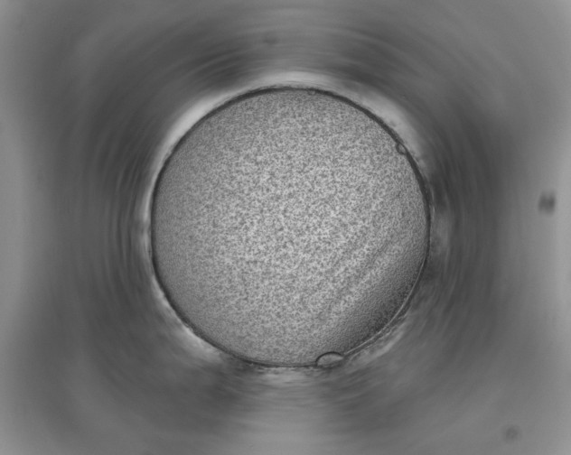 X0000097631199200803142018