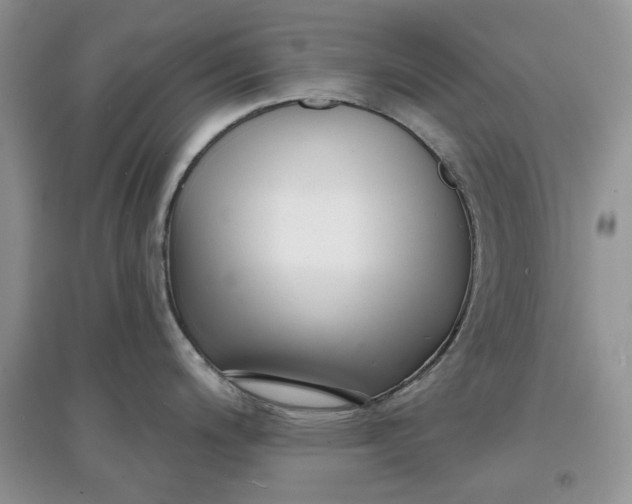 X0000097631200200803142018