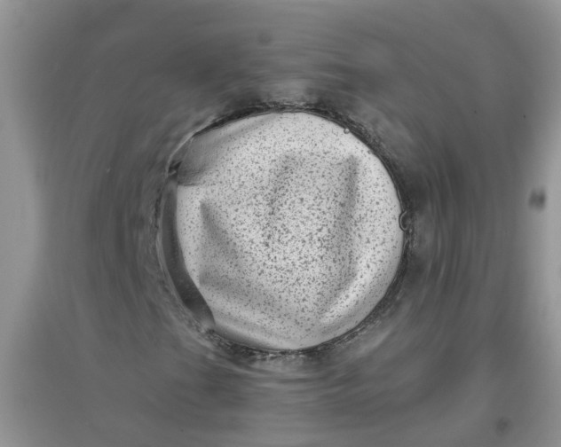 X0000097631201200803142017