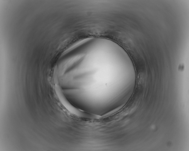 X0000097631202200803142017