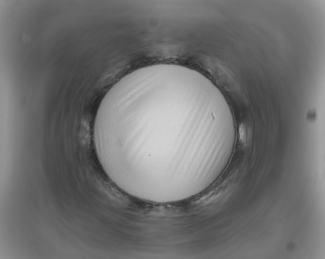 X0000097631203200803142017